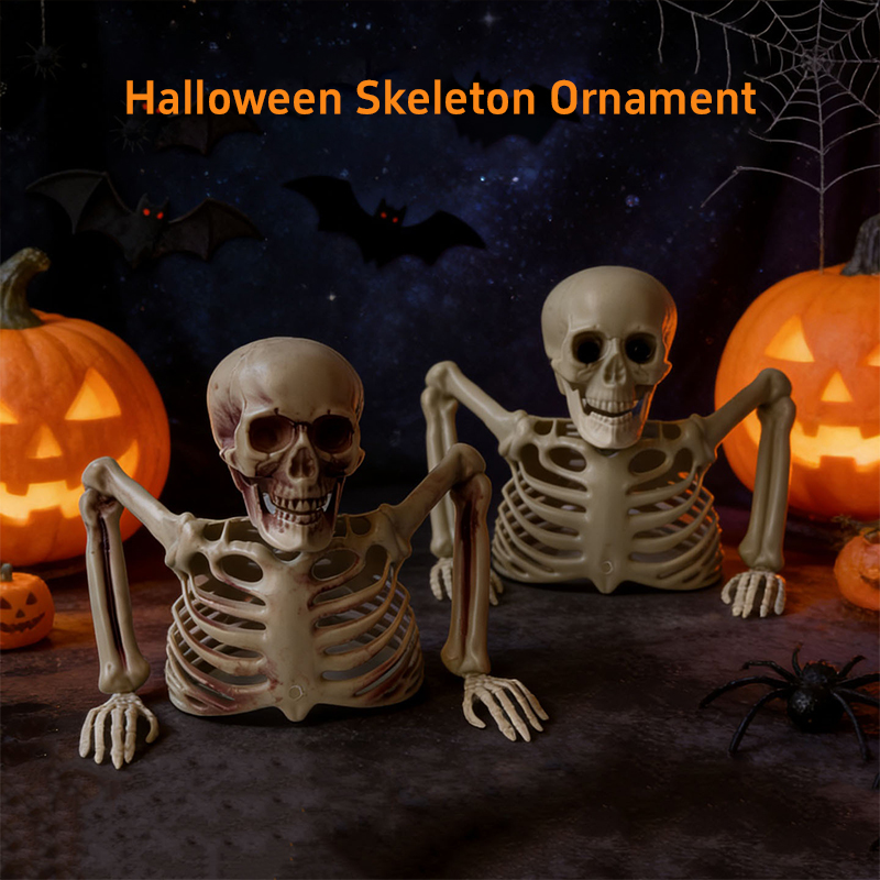 ホラー風の半分の骸骨オーナメント、ハロウィーンの骸骨骨飾り、 - Halloween Skeleton Decoration のレビューと価格