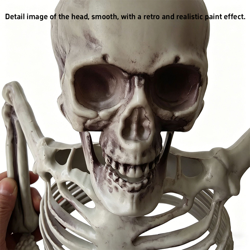 ホラー風の半分の骸骨オーナメント、ハロウィーンの骸骨骨飾り、 - Halloween Skeleton Decoration のレビューと価格
